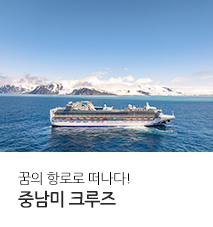 [기획전] 25년도 크루즈 기획전
